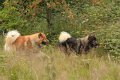 faro_besuch (15)